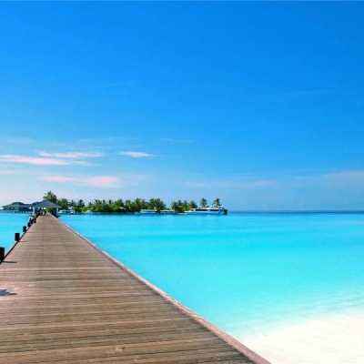 bet体育365官网正规下载手机版