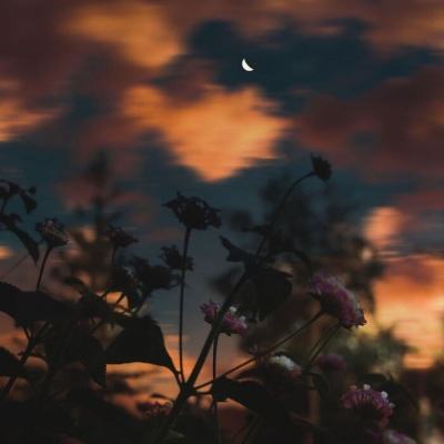 金沙集团9500手机app下载